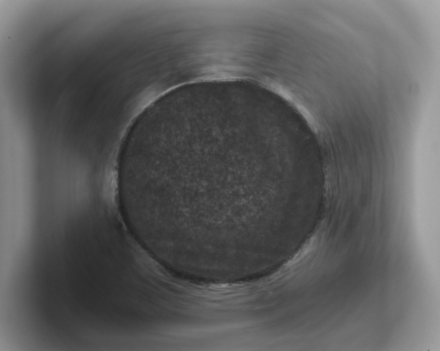 X0000101441459200807211201