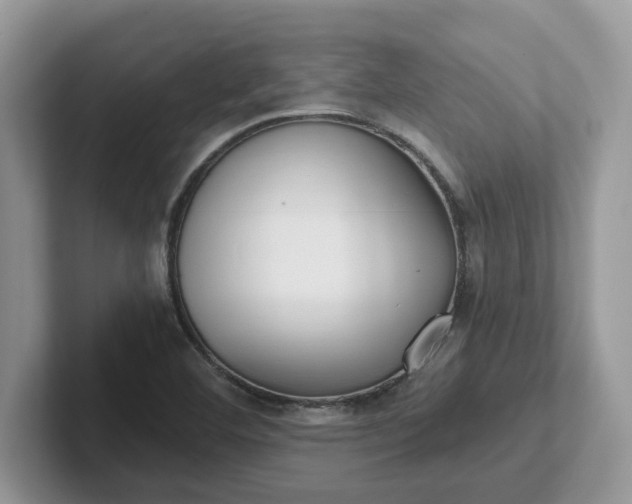 X0000101441460200807211201