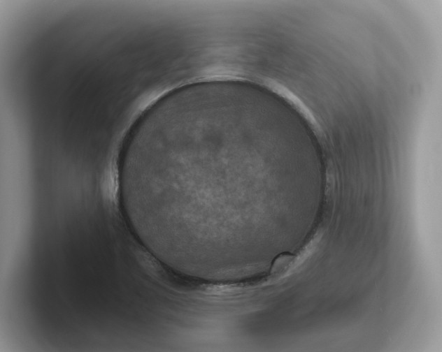 X0000101441461200807211201