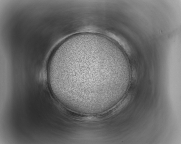 X0000101441462200807211201