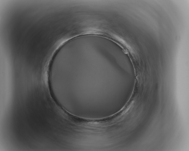 X0000101441463200807211201