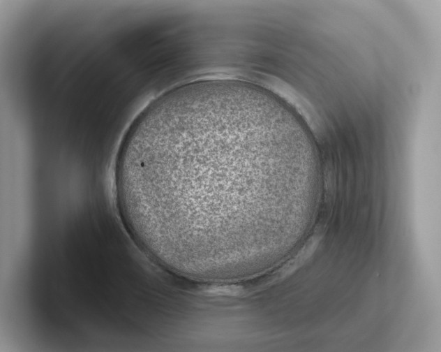 X0000101441466200807211201