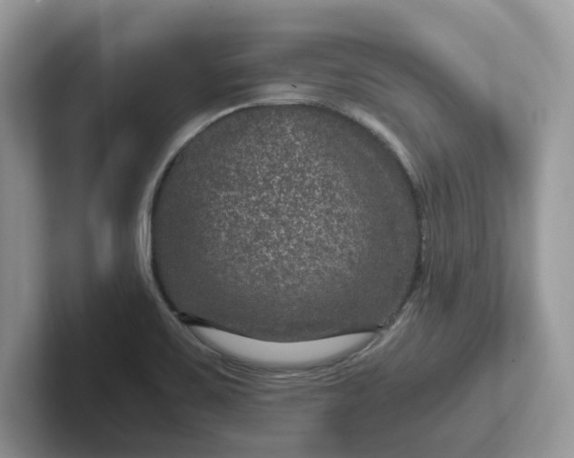 X0000101441467200807211201