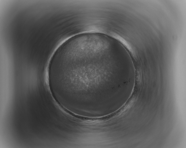 X0000101441468200807211201