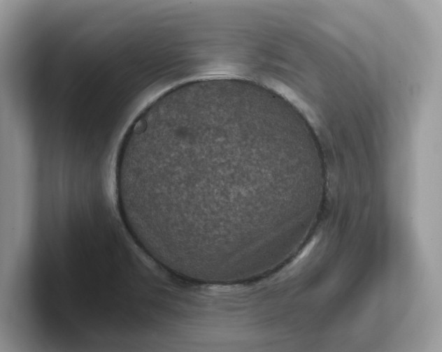 X0000101441469200807211201