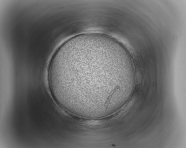 X0000101441470200807211201