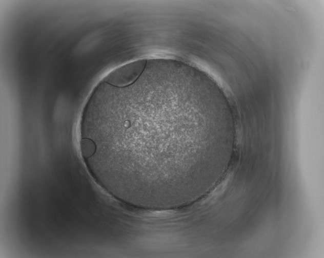 X0000101441471200807211201