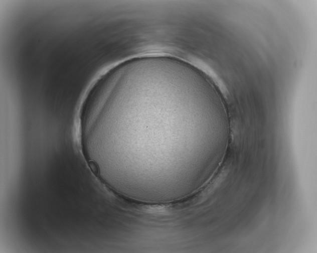 X0000101441472200807211201