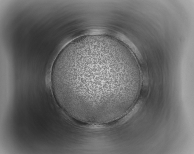 X0000101441473200807211201