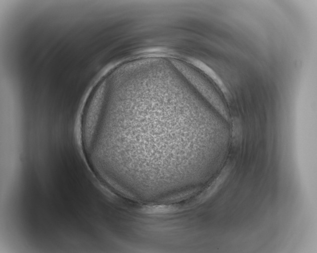 X0000101441474200807211201