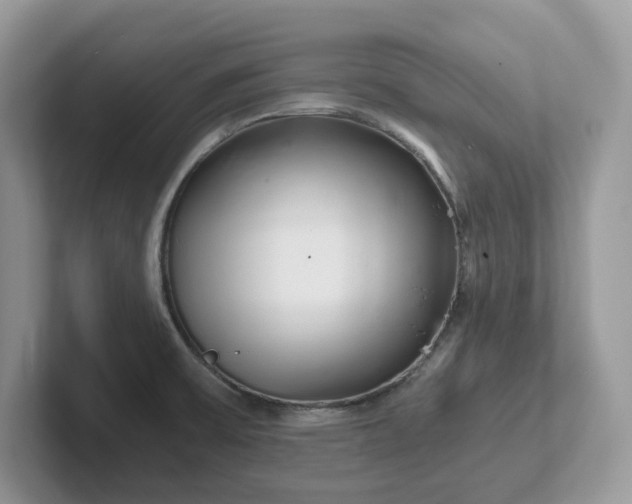 X0000101441475200807211201