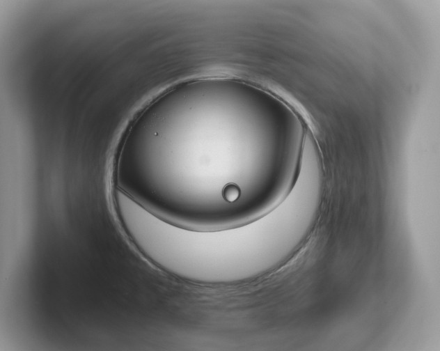 X0000101441477200807211201