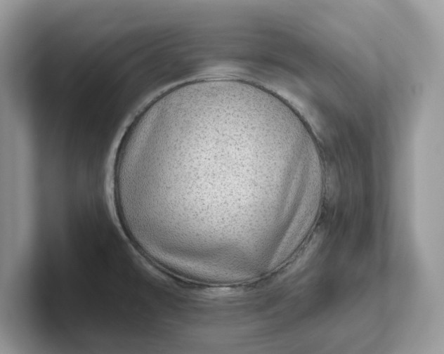 X0000101441478200807211201