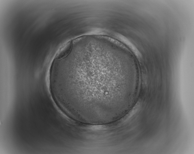 X0000101441479200807211201