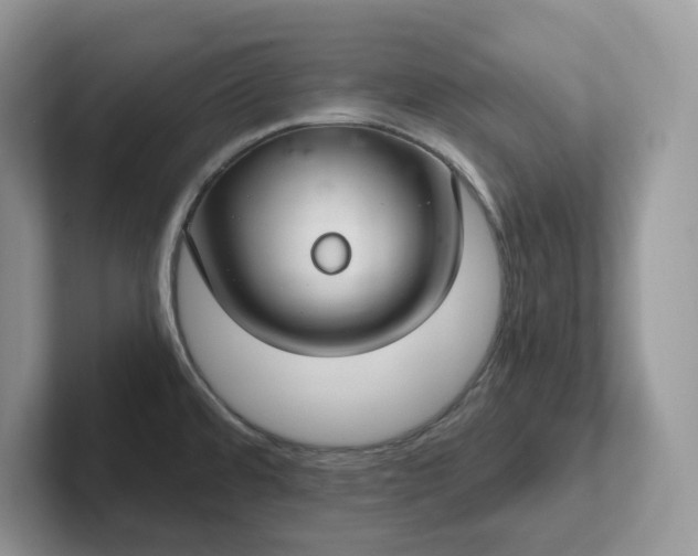 X0000101441480200807211201