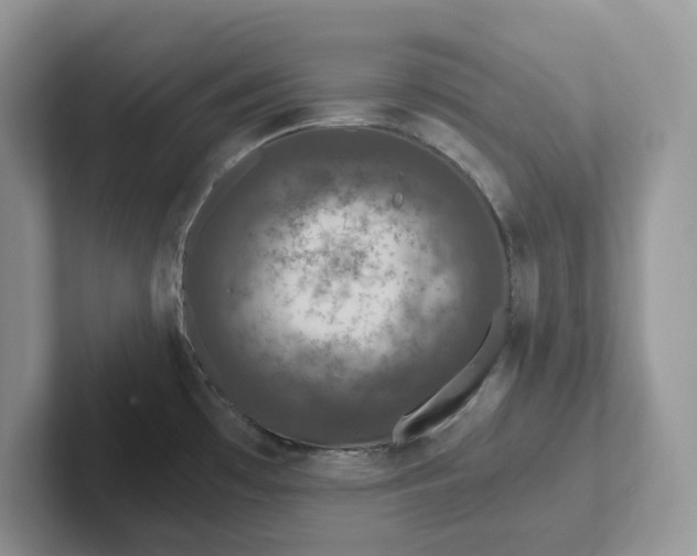 X0000101441481200807211201