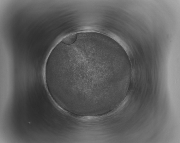 X0000101441482200807211201