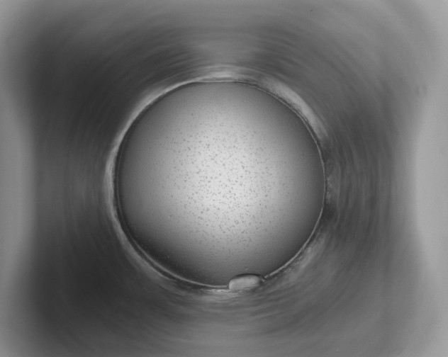 X0000101441483200807211201