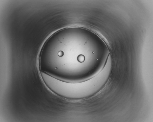 X0000101441484200807211201