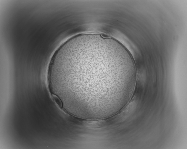 X0000101441485200807211201