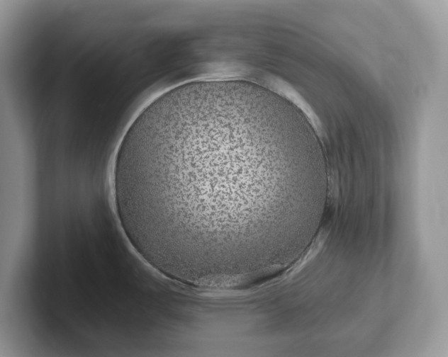 X0000101441487200807211201