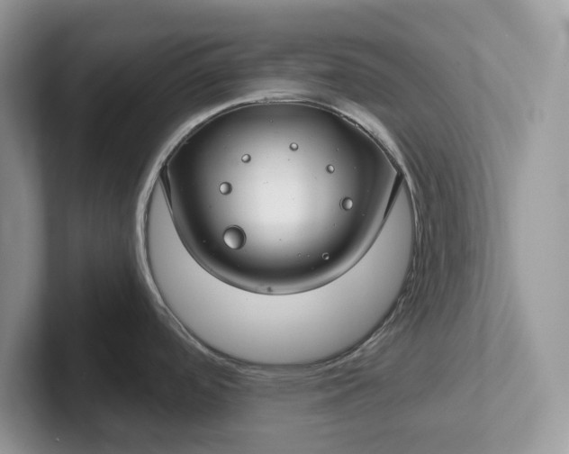 X0000101441488200807211201