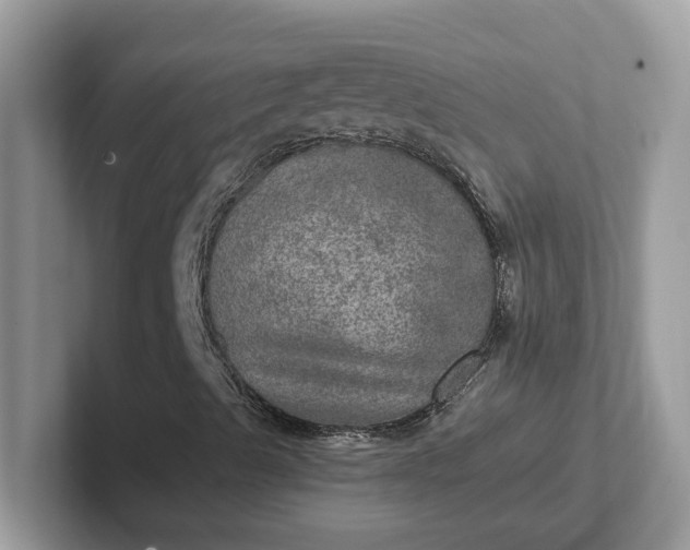 X0000101441489200807211200