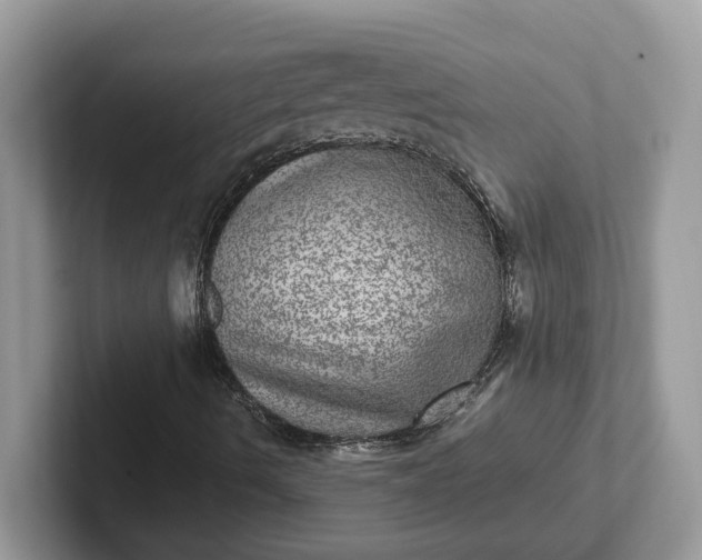 X0000101441490200807211200