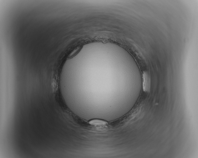 X0000101441491200807211200