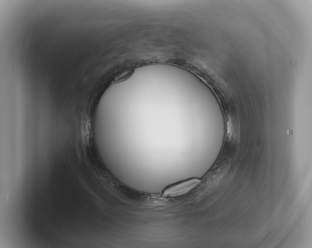 X0000101441492200807211200