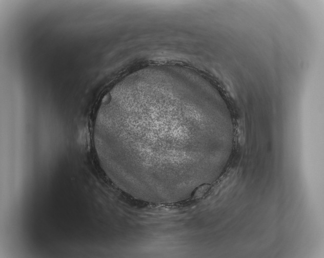 X0000101441493200807211200