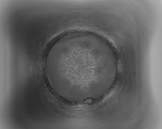 X0000101441494200807211200