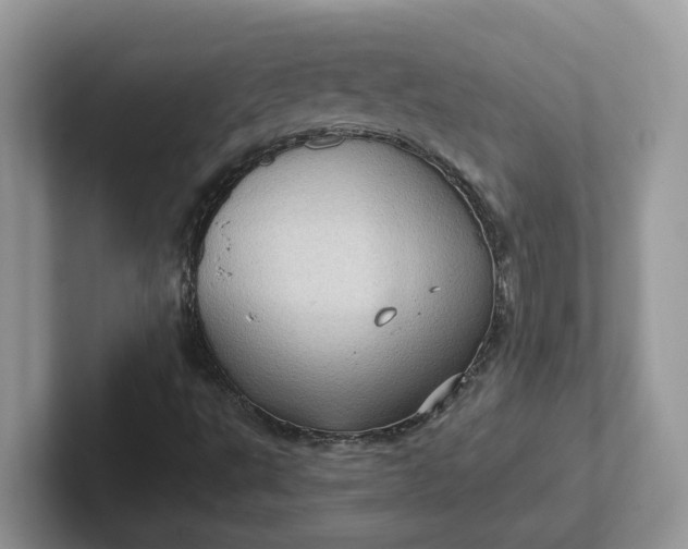 X0000101441495200807211200