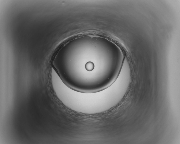 X0000101441496200807211200