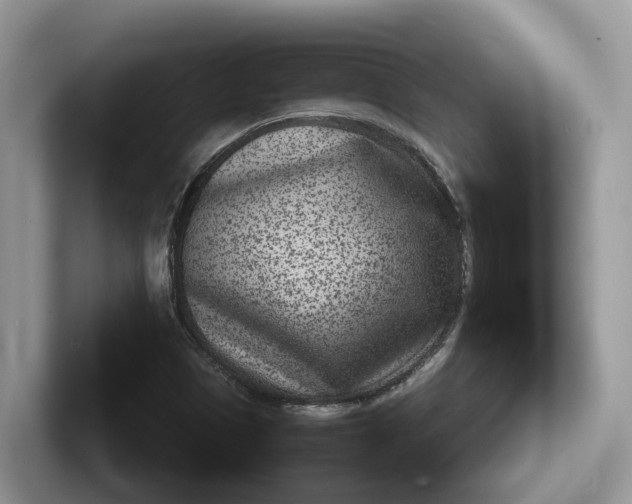 X0000101441497200807211200