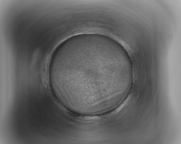 X0000101441498200807211200