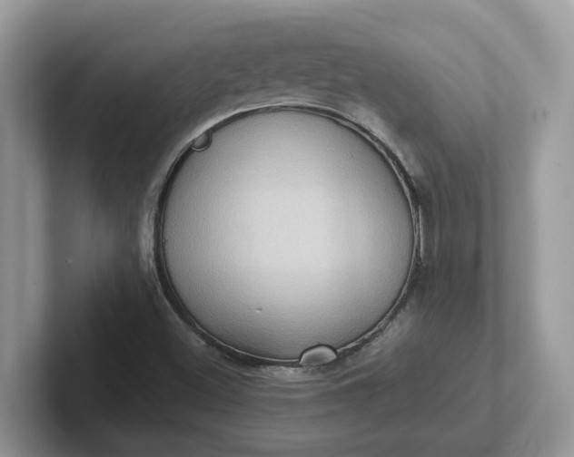 X0000101441500200807211200