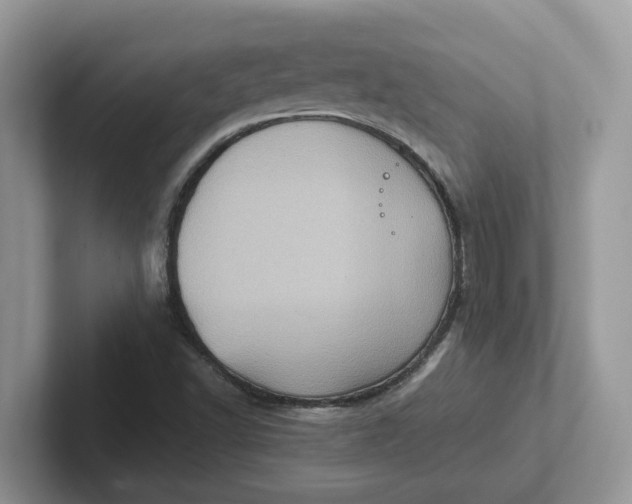 X0000101441502200807211200