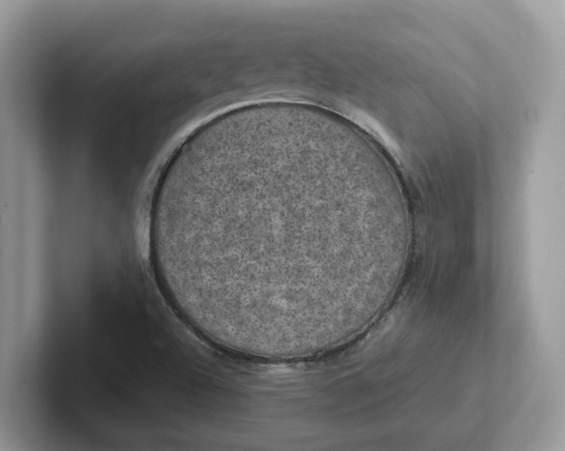 X0000101441504200807211200