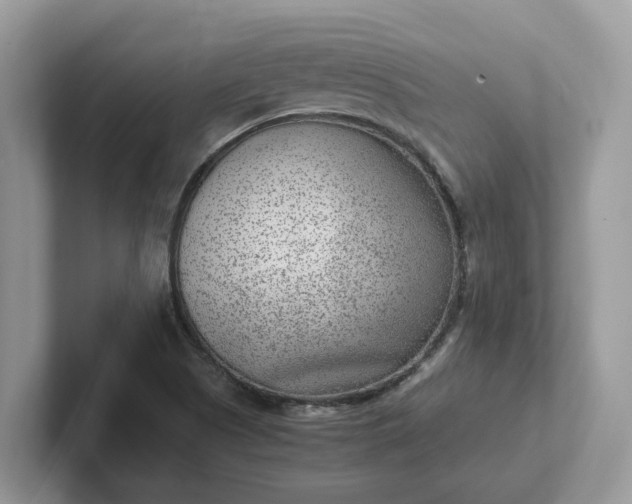 X0000101441505200807211200