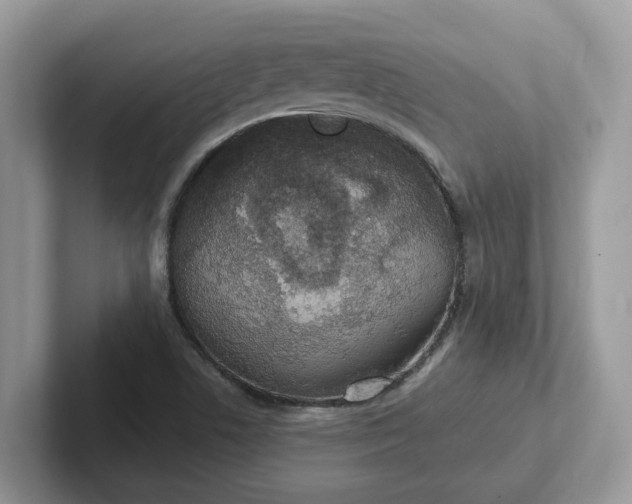 X0000101441506200807211200