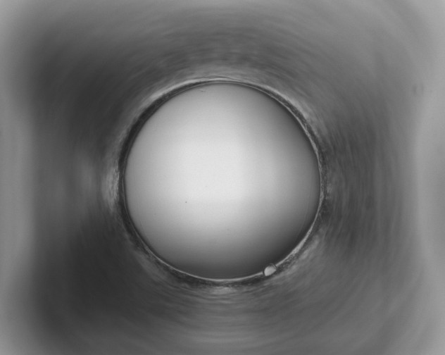 X0000101441507200807211200