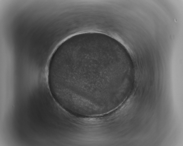 X0000101441508200807211200