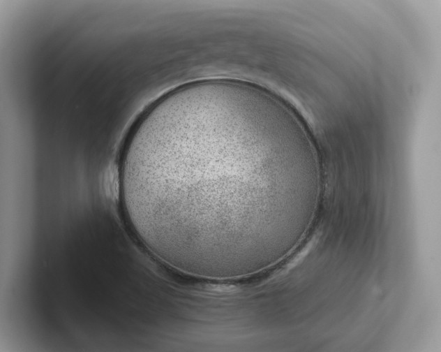 X0000101441509200807211200