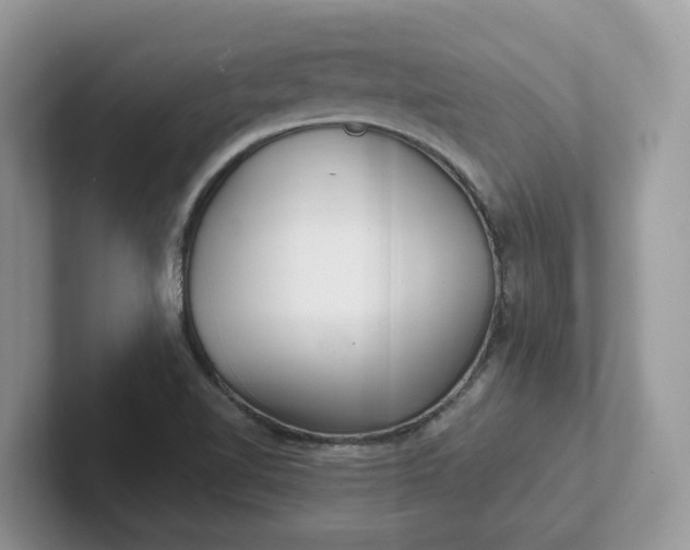 X0000101441510200807211200