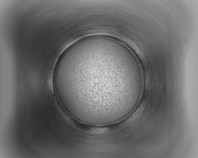 X0000101441513200807211200