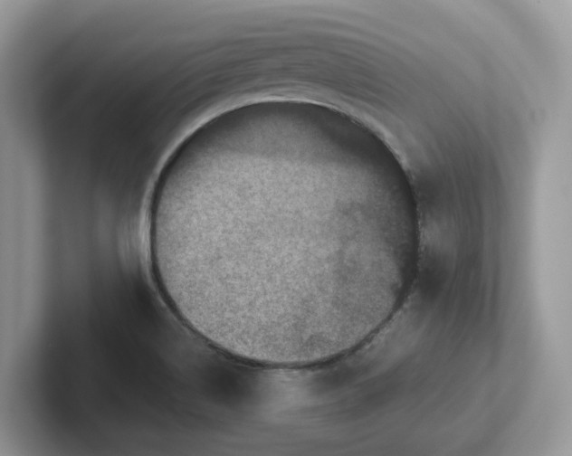 X0000101441514200807211200