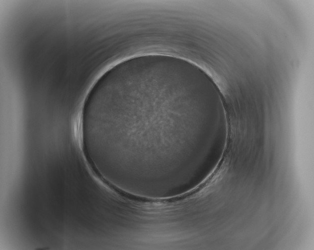 X0000101441515200807211200