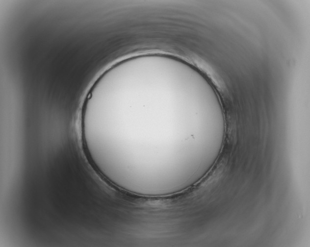 X0000101441516200807211200