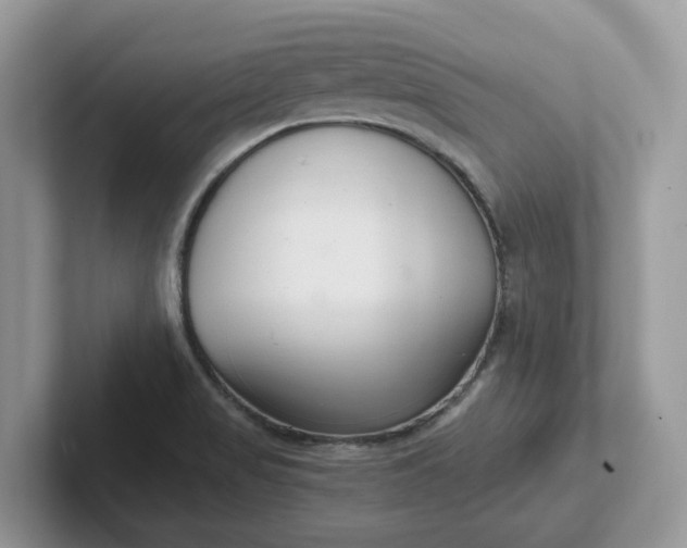 X0000101441517200807211201